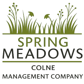 Spring Meadows